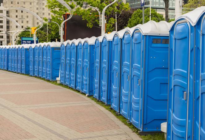 Seasonal porta potty units set up at a Hillsdale, Michigan venue